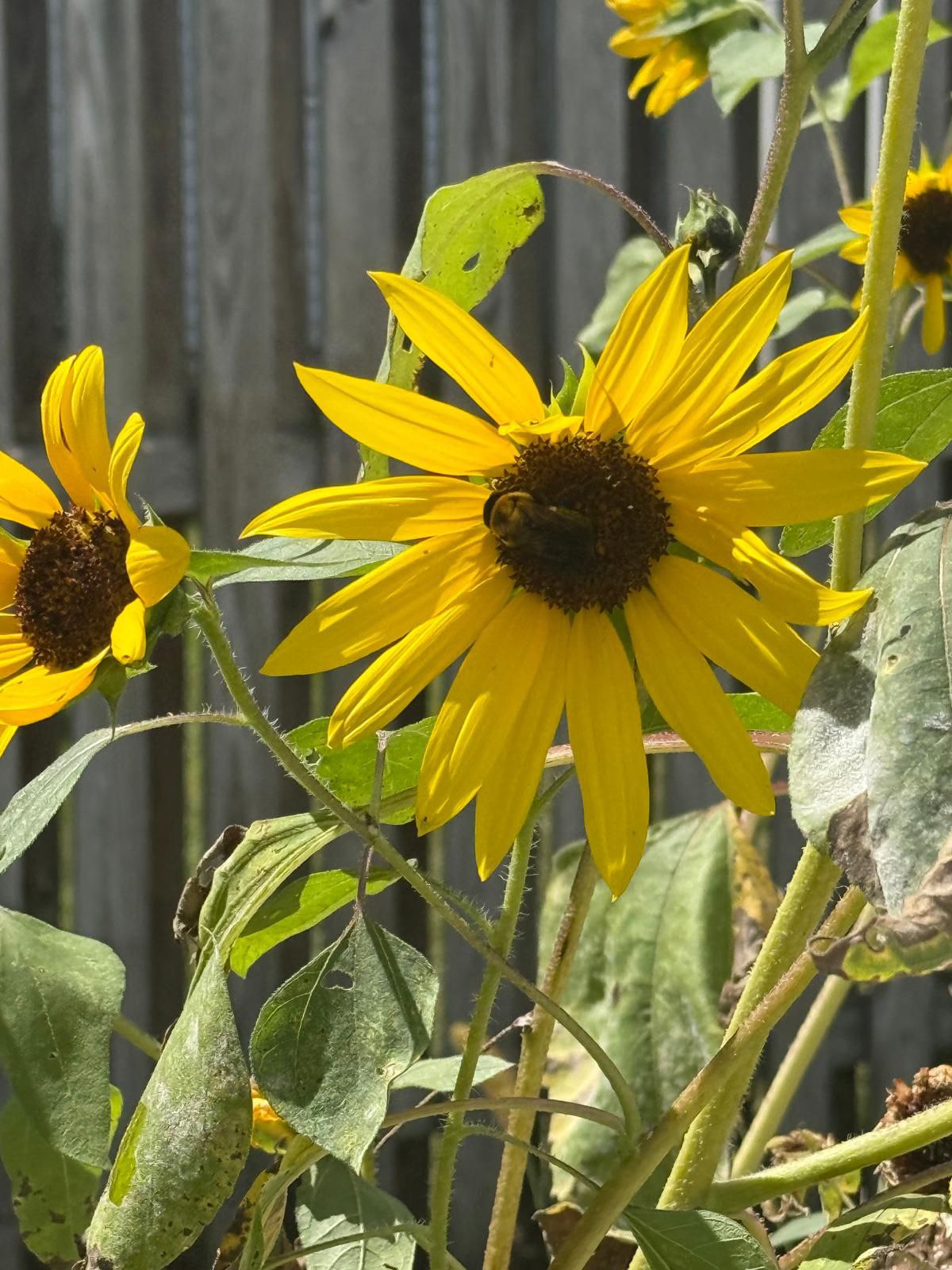 Gallery Image 13